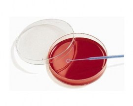 Agar Mueller Hinton  25ml - 10 Placas